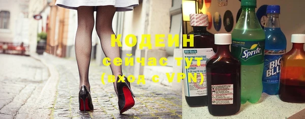 мет Корсаков